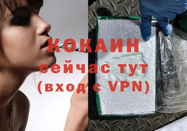 крисы Бородино