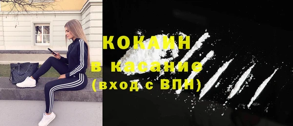 крисы Бородино