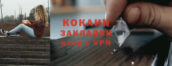 крисы Бородино