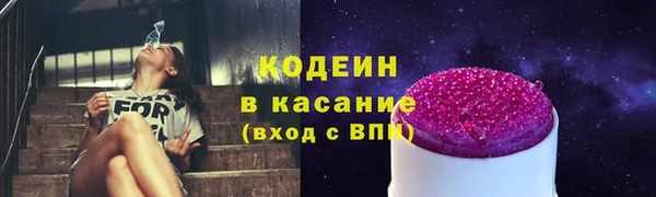 крисы Бородино