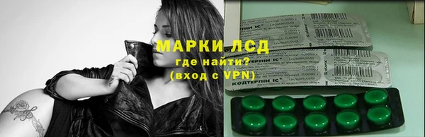 крисы Бородино