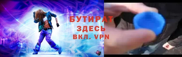 крисы Бородино