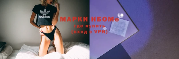 крисы Бородино
