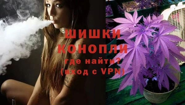 крисы Бородино