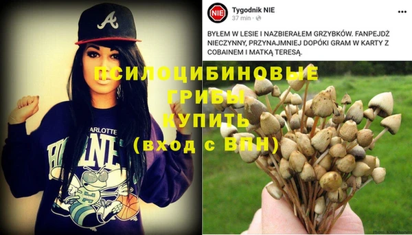 a pvp Бугульма