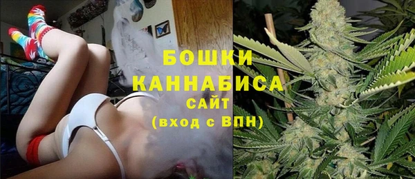 крисы Бородино