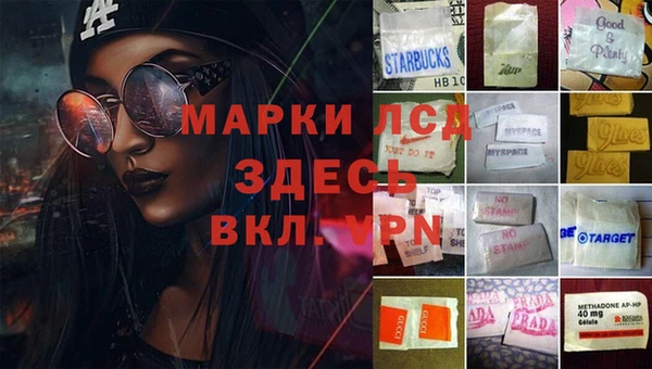 крисы Бородино
