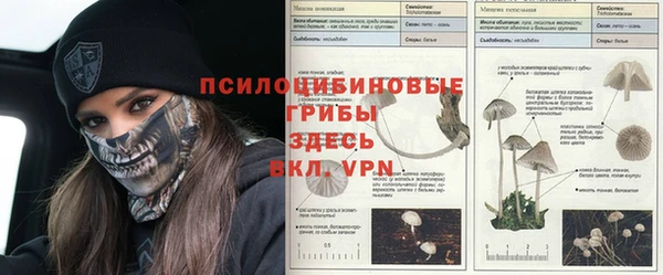 стаф Бронницы