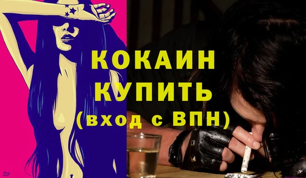 крисы Бородино